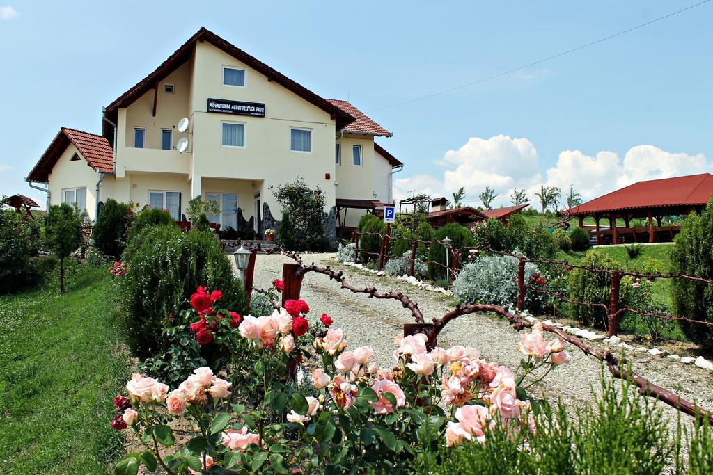 Pensiunea Faur Sebes  Ngoại thất bức ảnh